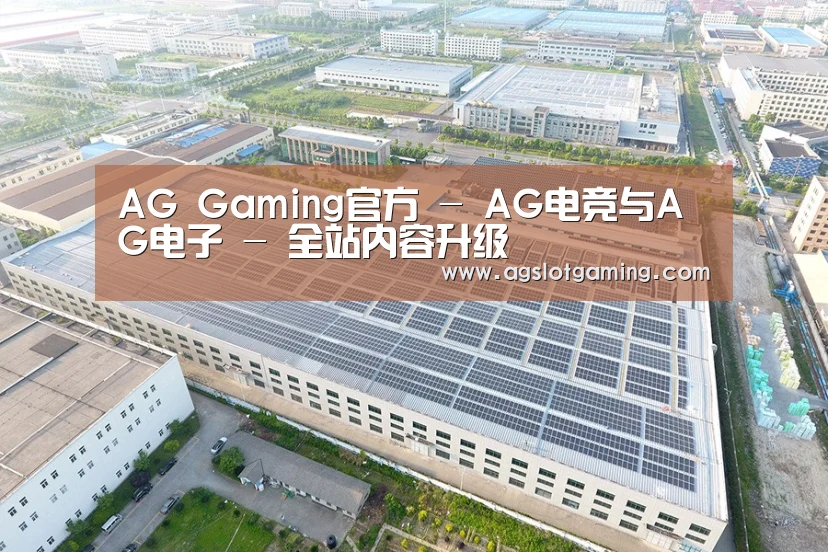 案例展示一