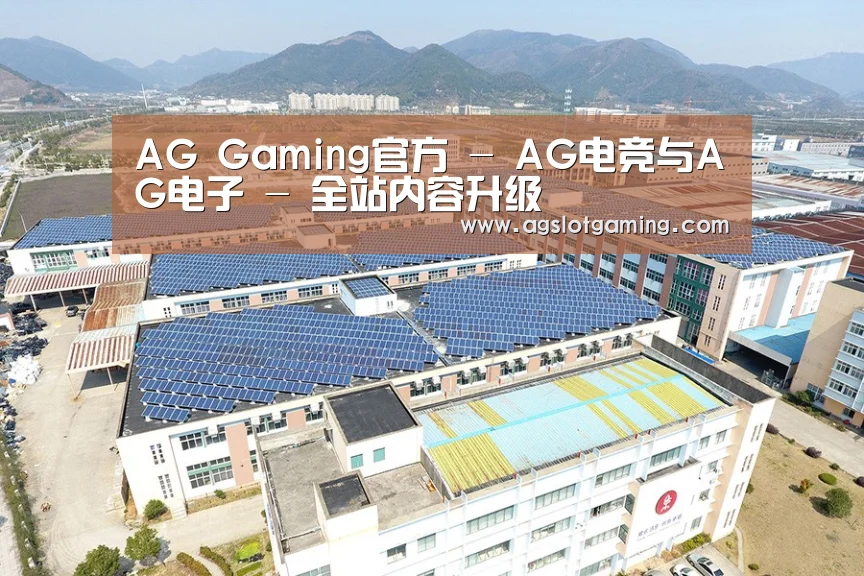 案例展示二