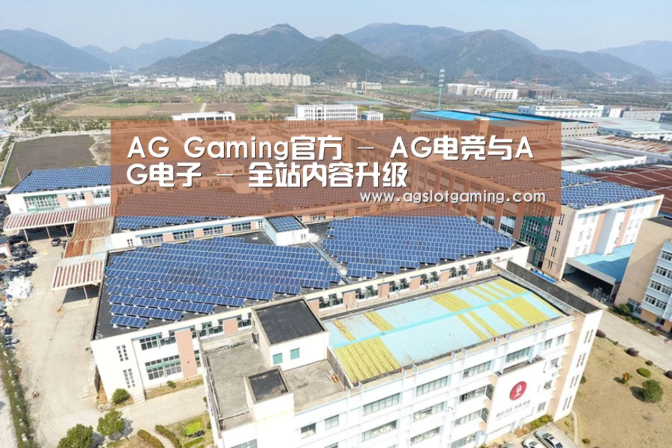 案例展示一