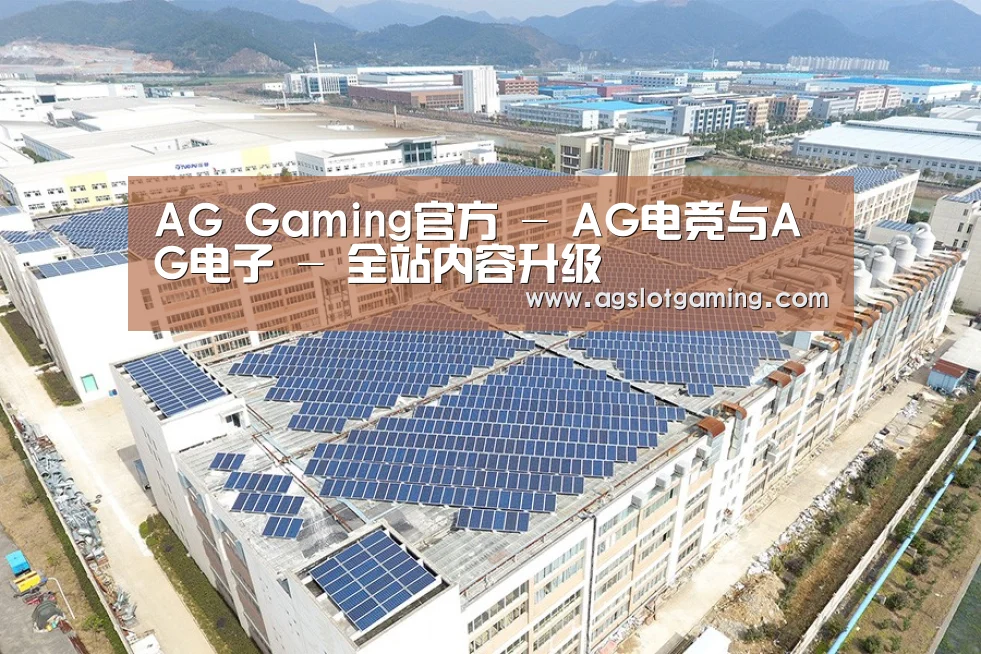 案例展示三