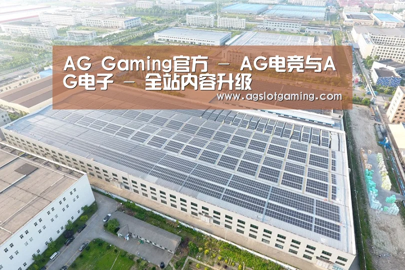 案例展示三