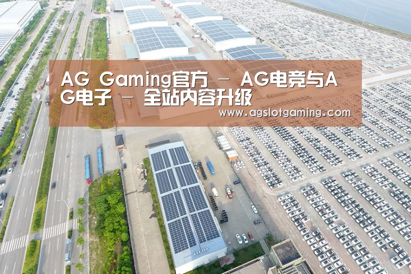 案例展示一