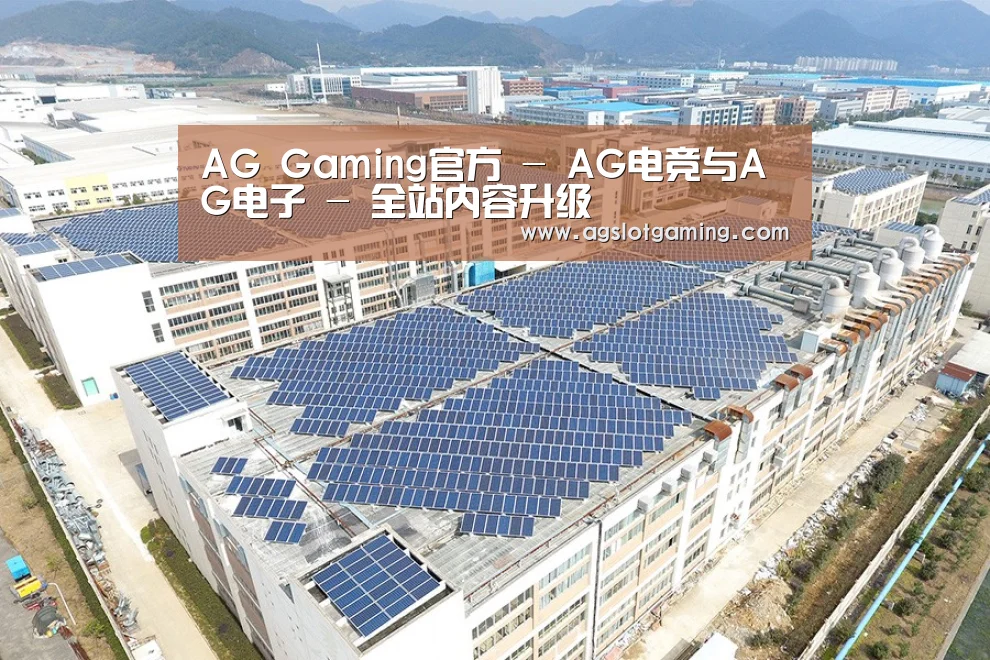 案例展示四