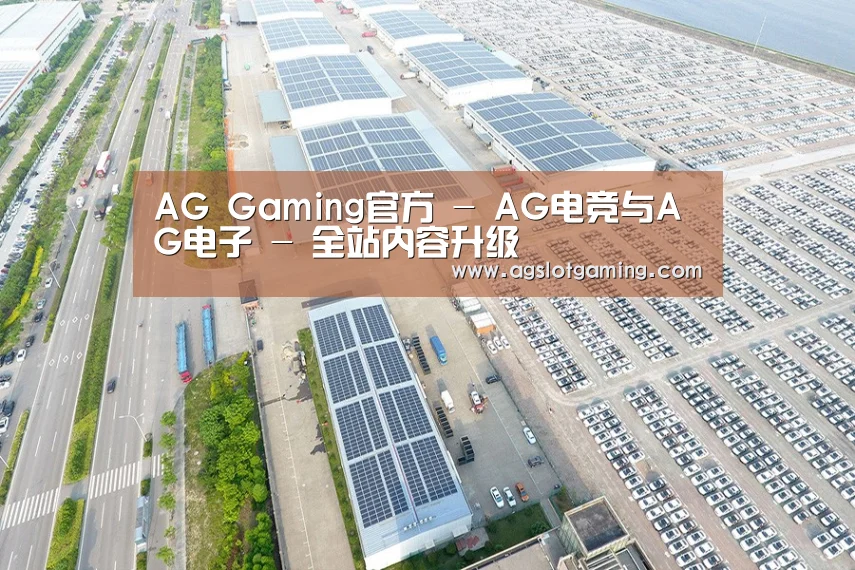 案例展示二