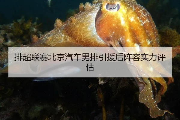 pai-chao-lian-sai-bei-jing-qi-che-nan-pai-yin-yuan-hou-zhen-rong-shi-li-ping-gu-2-282.jpg